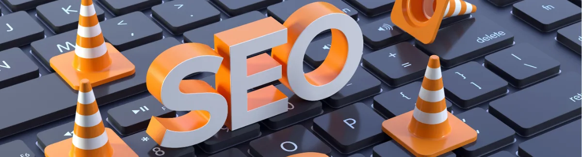 SEO Success Story — eGovernance+