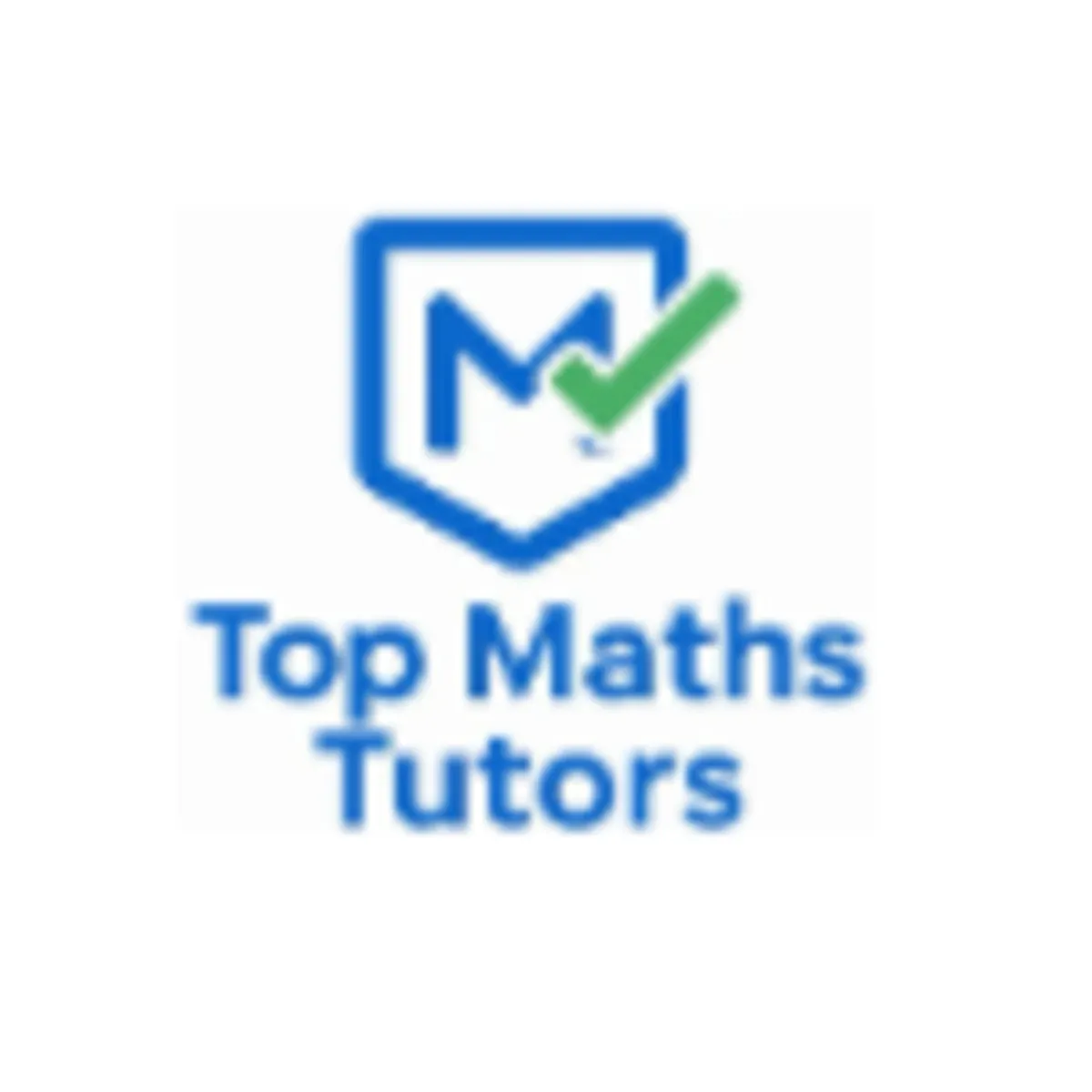 Top Maths Tutors logo