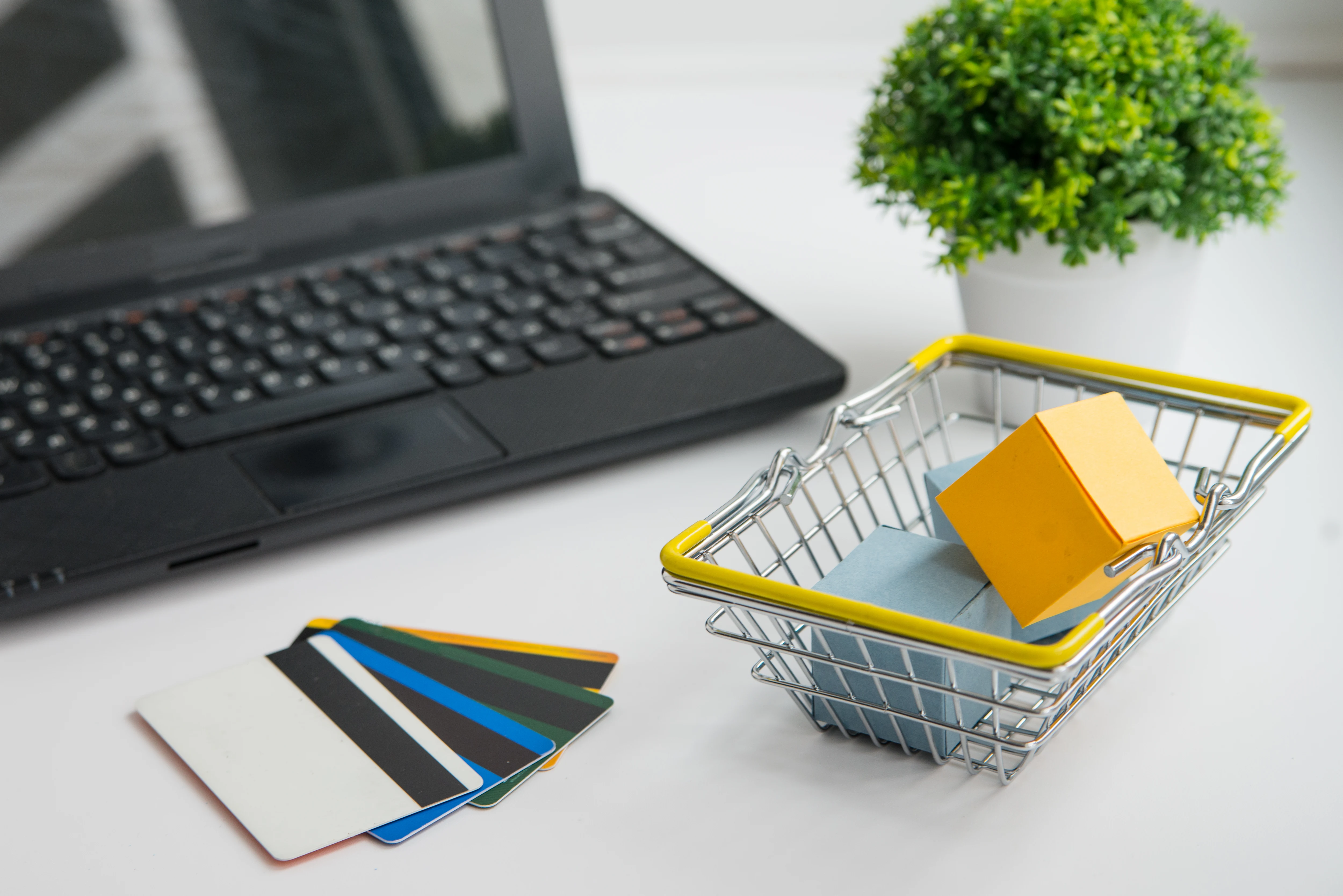 Supporting Business Growth in Ajman